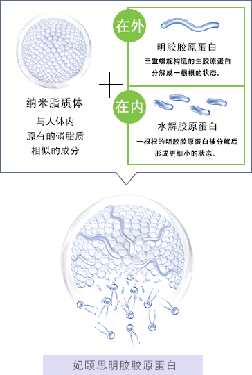 妃颐思明胶胶原蛋白