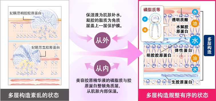 将一般不能进入肌肤内部的胶原蛋白渗透至角质层内。