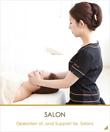 Operation of, and Support for, Salons