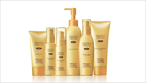 History and Timeline｜About the Faith Group｜Faith Group